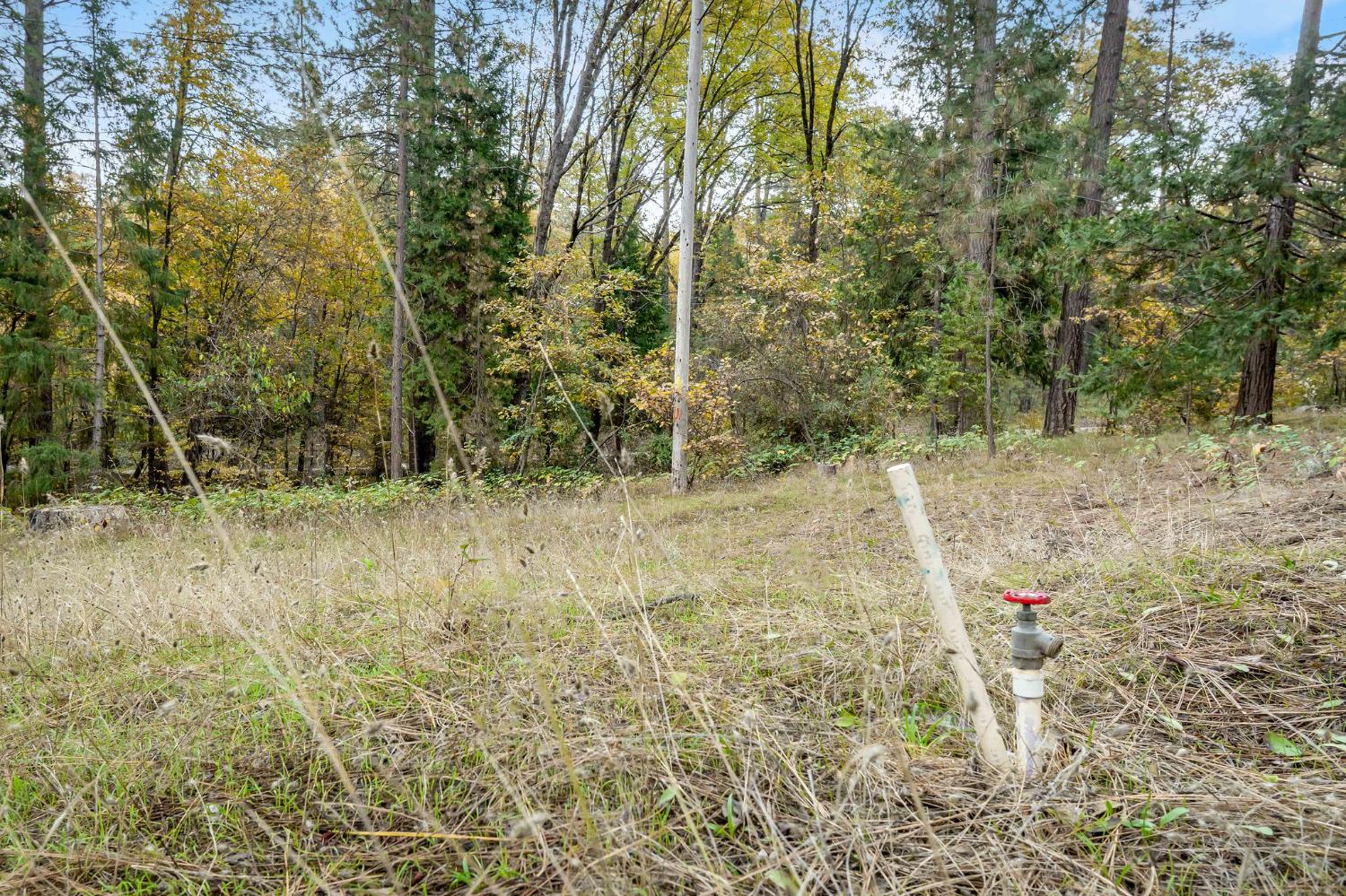 10376 Smith Road Grass Valley, CA 95949 - Photo 17 of 38