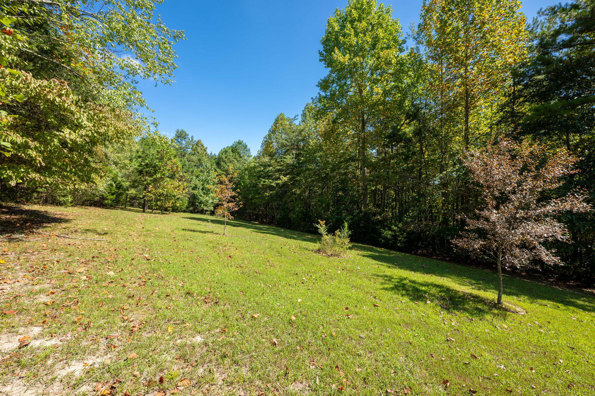 457 County Road 181 Decatur, TN 37322 - Photo 37 of 38 37-web-or-mls-DSC_5734-83