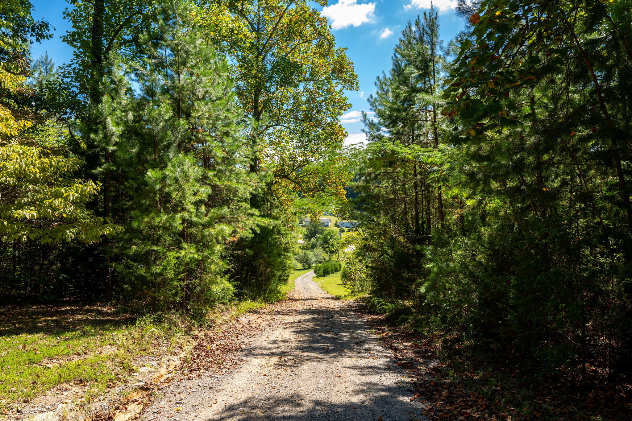 457 County Road 181 Decatur, TN 37322 - Photo 38 of 38 38-web-or-mls-DSC_5735-84