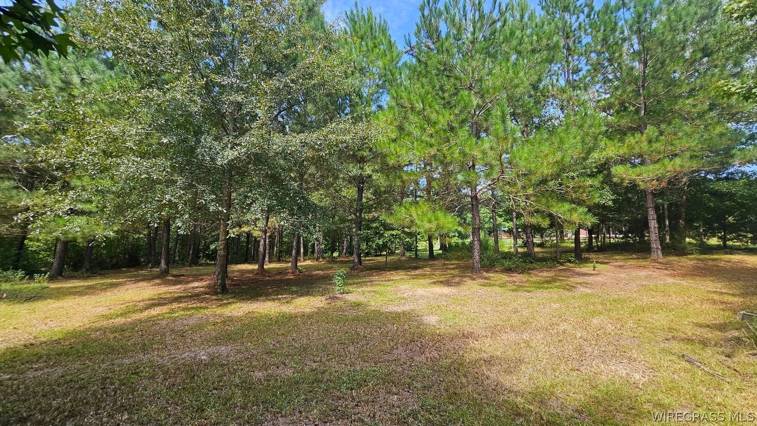 1276 Stuart Tarter Road Ozark, AL 36360 - Photo 32 of 50 Gallery Image 32