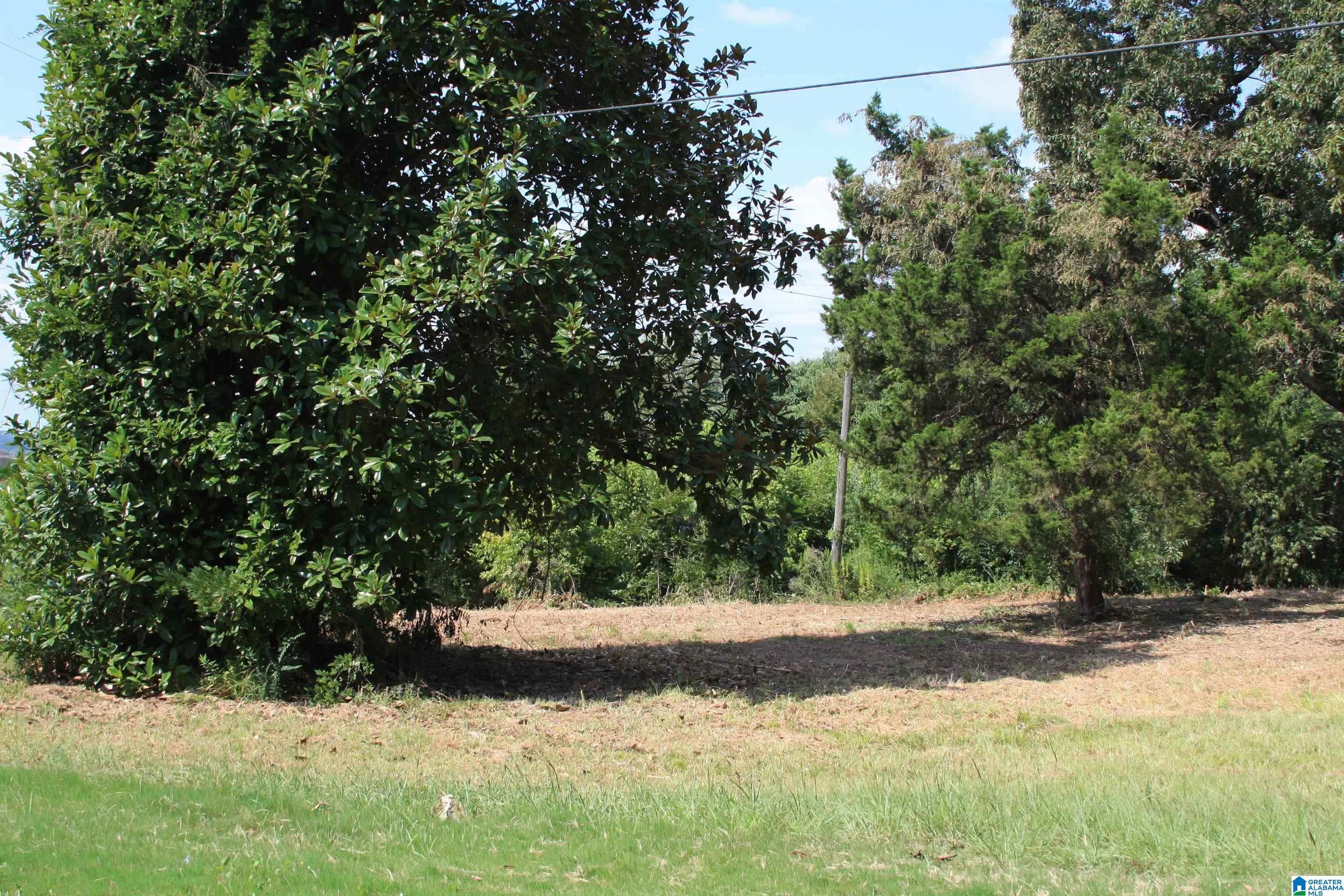 5714 Smokey Road Calera, AL 35040 - Photo 1 of 6 Gallery Image 1