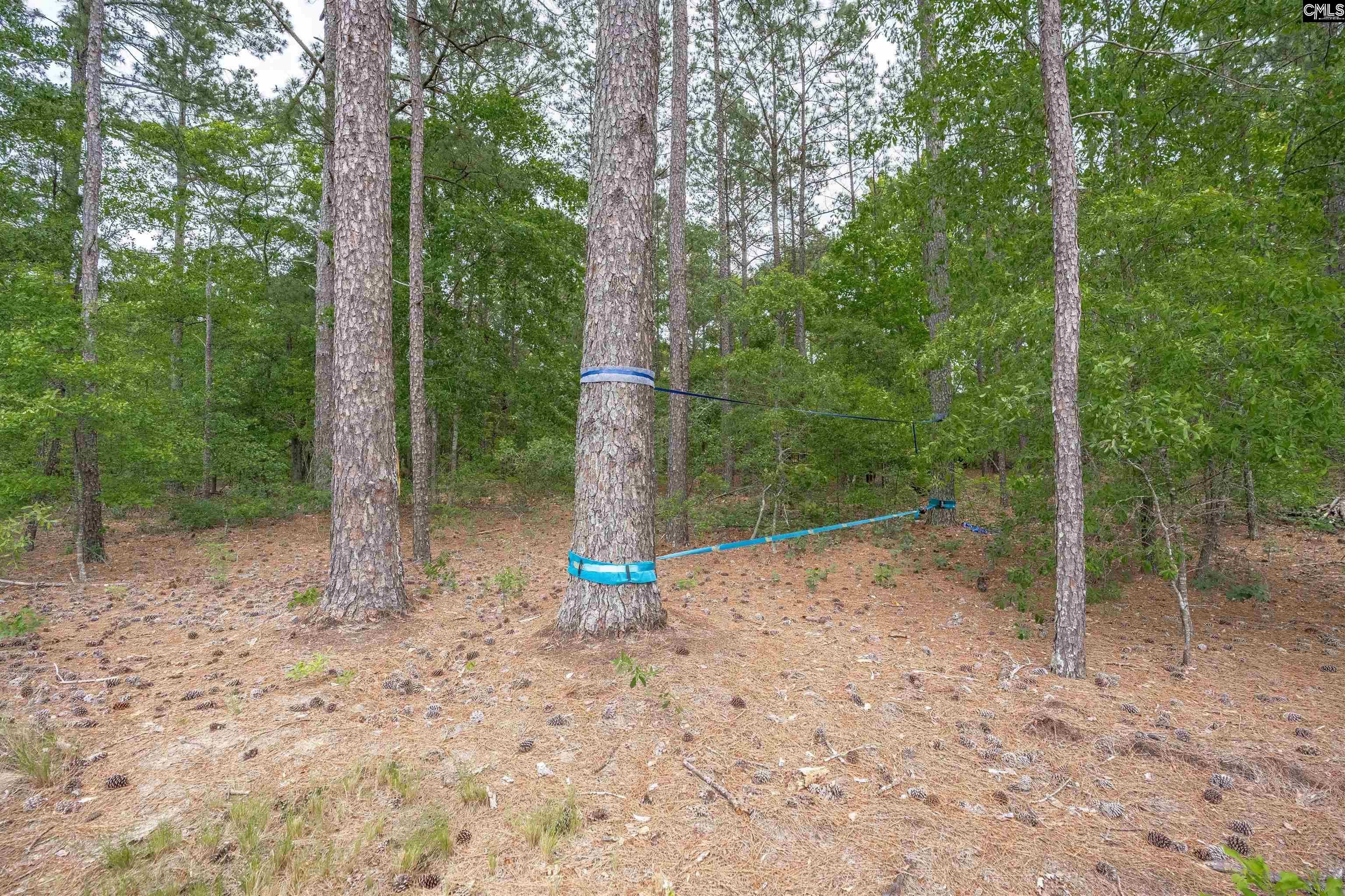 1904 Jim Spence Road Lexington, SC 29073 - Photo 42 of 49