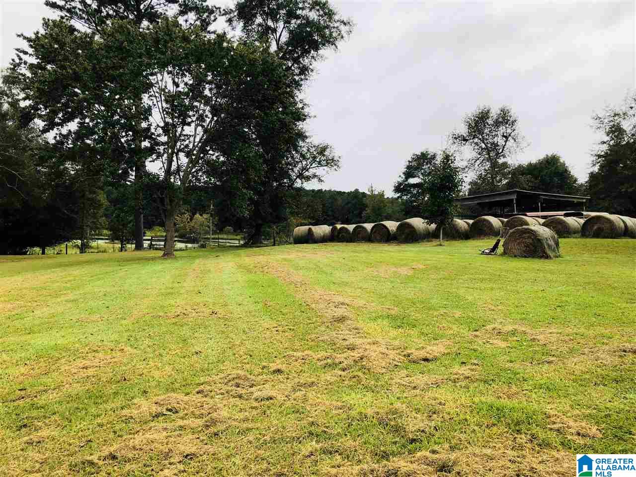 85 County Road 753 Clanton, AL 35045 - Photo 10 of 11