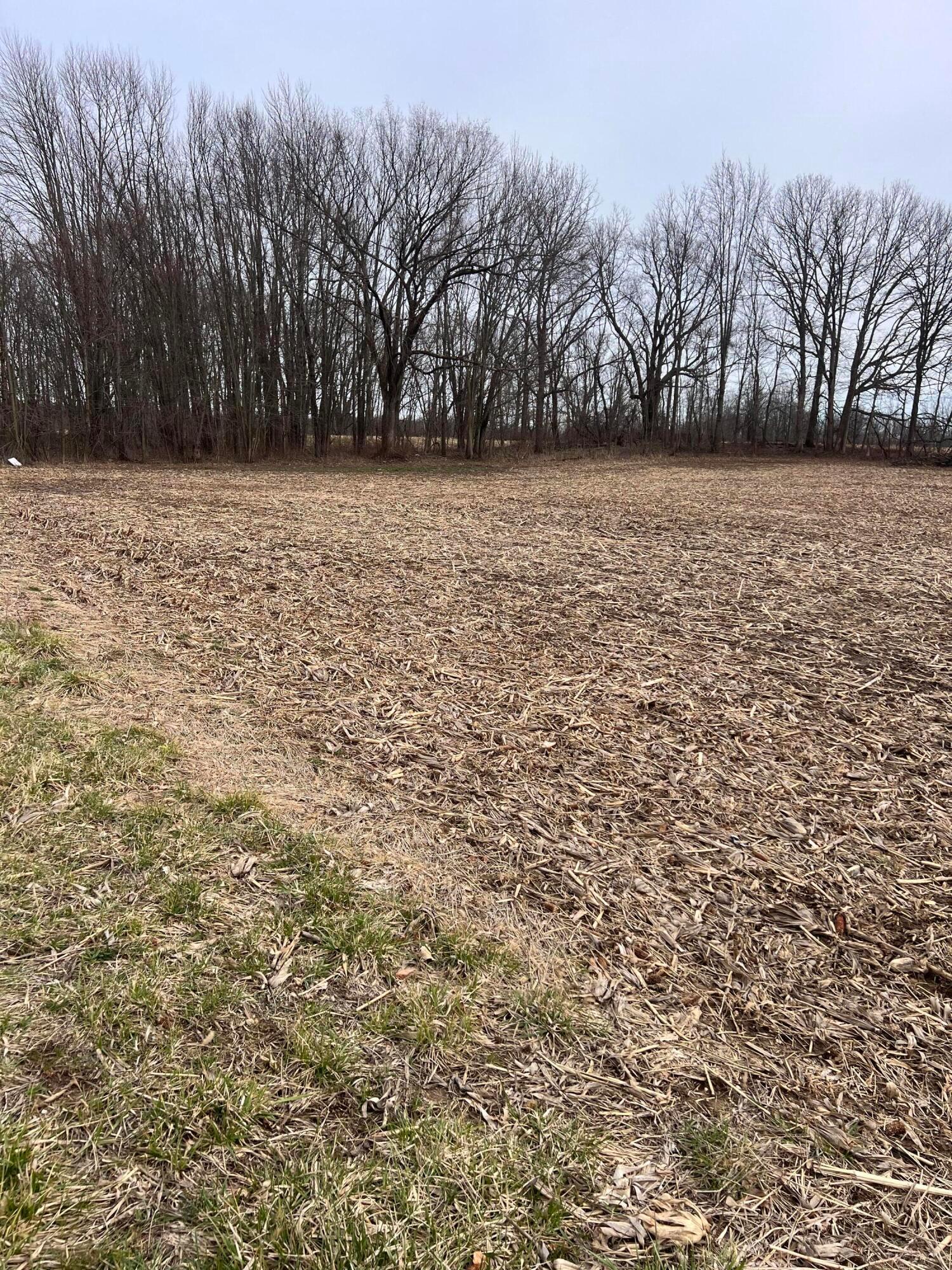 0 County Rd Mount, Unit 199 TRACT 003 Centerburg, OH 43011 - Photo 2 of 5 Tract 1