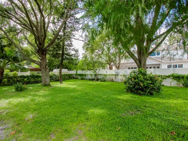 a view of a garden with a tree