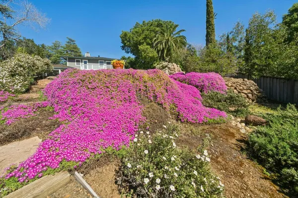 $6,088,000 | 140 University Avenue, Los Altos, CA 94022