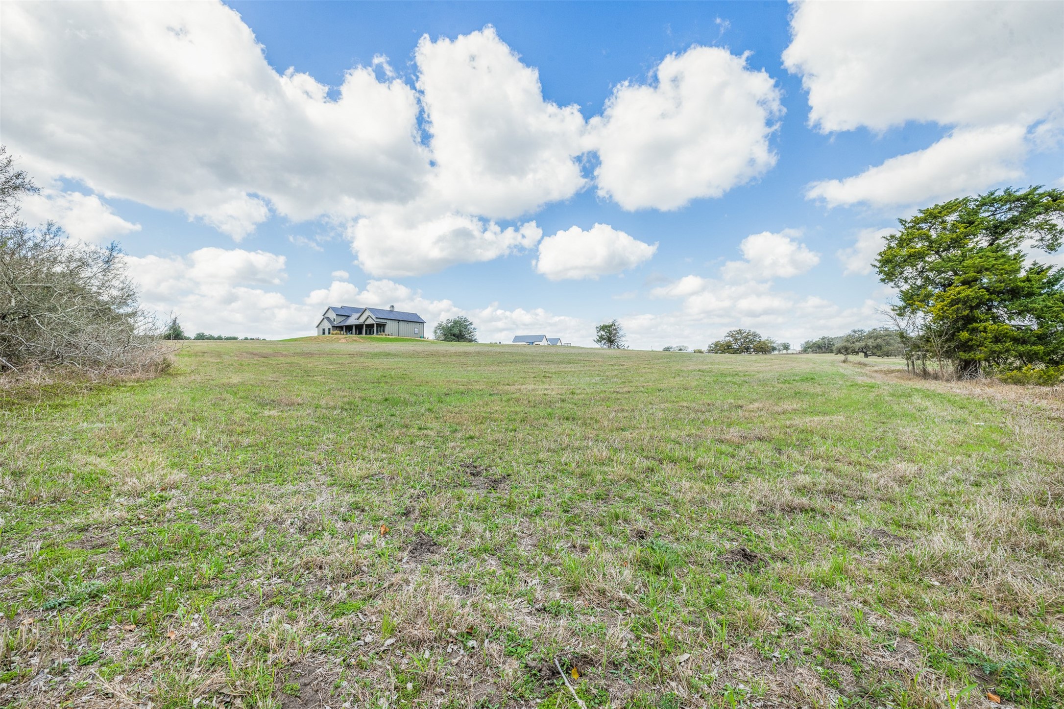 115 Turney Trace Round Top, TX 78954 - Photo 4 of 9 a view of a big yard with plants and a large tree