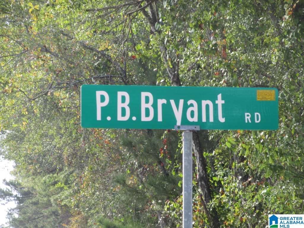 0 Paul Bear Bryant Road Alpine, AL 35014 - Photo 5 of 8
