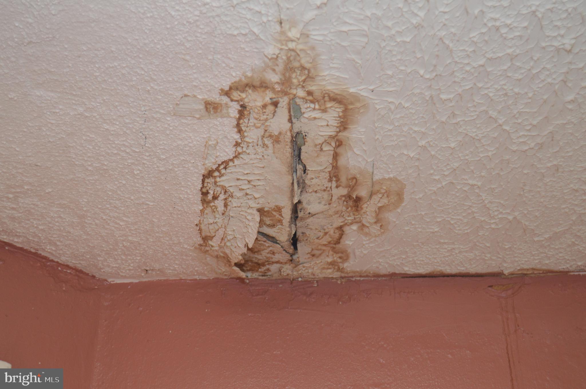 802 Chestnut Street Reading, PA 19602 - Photo 21 of 38 Bath ceiling damage