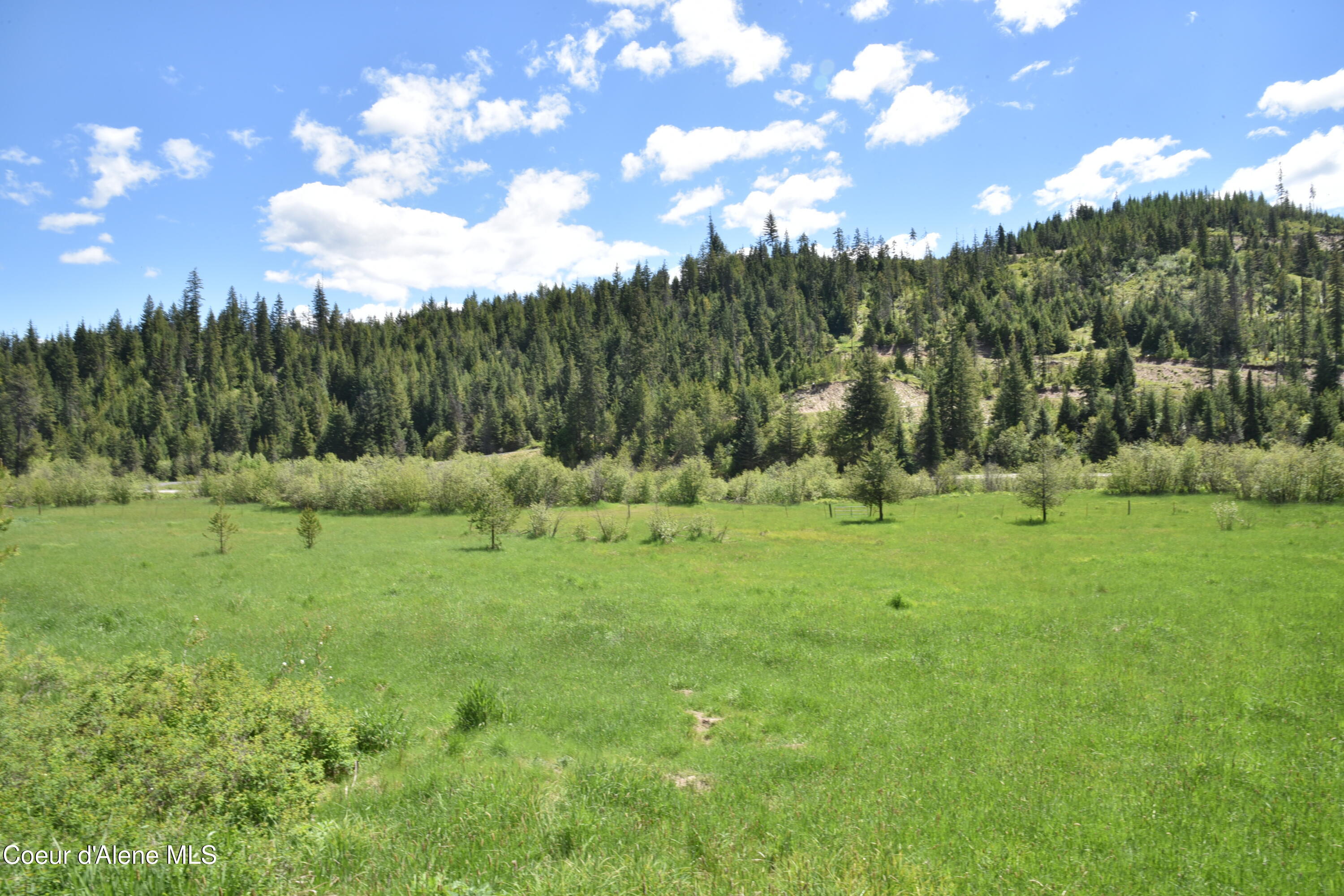 Nna Carpenter Creek Road Fernwood, ID 83830 - Photo 4 of 13 4