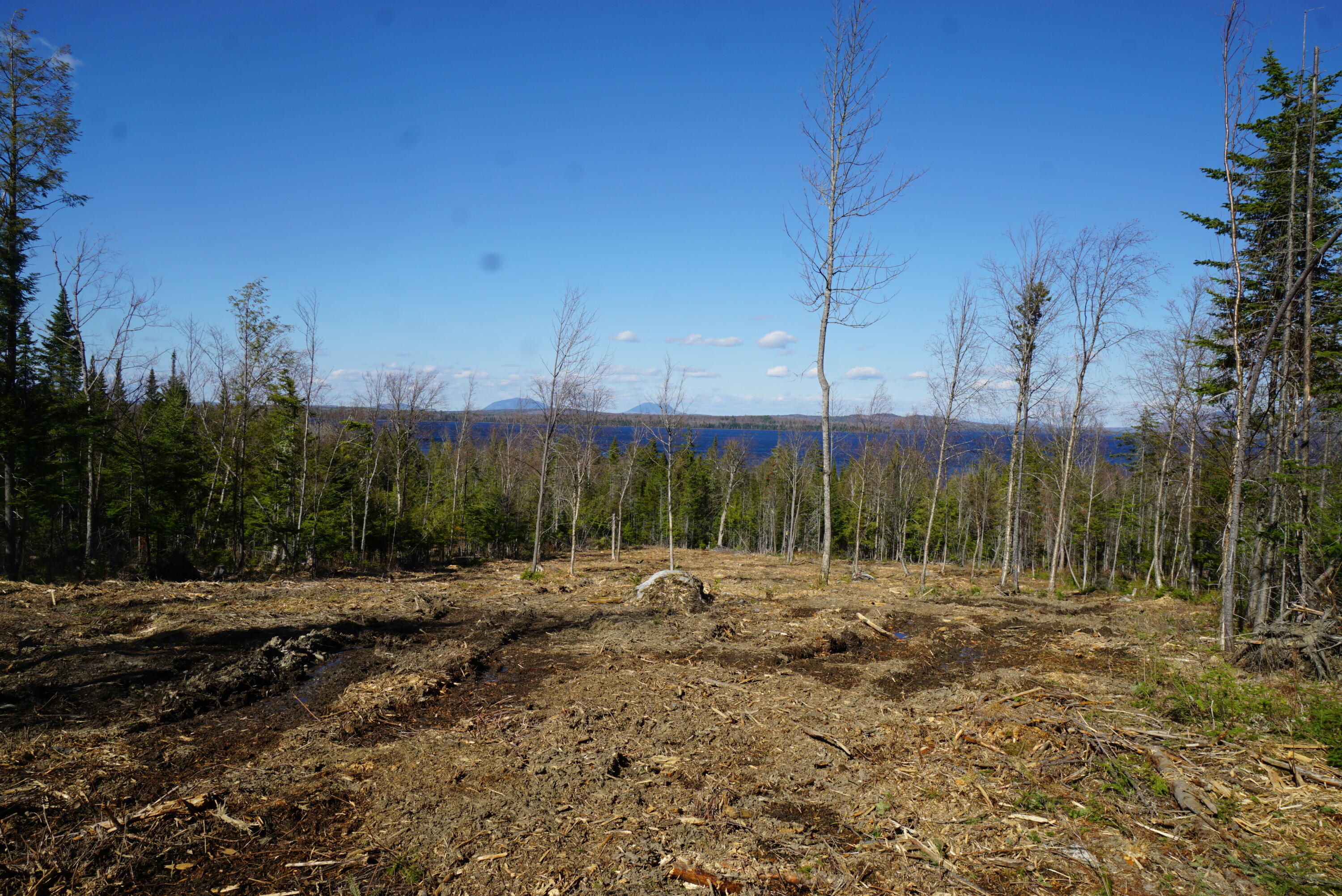 121 Rockwood Road Greenville Junction, ME 04442 - Photo 7 of 17 B7951AFD-B7D8-4AA4-BD82-A48BD1F677B1
