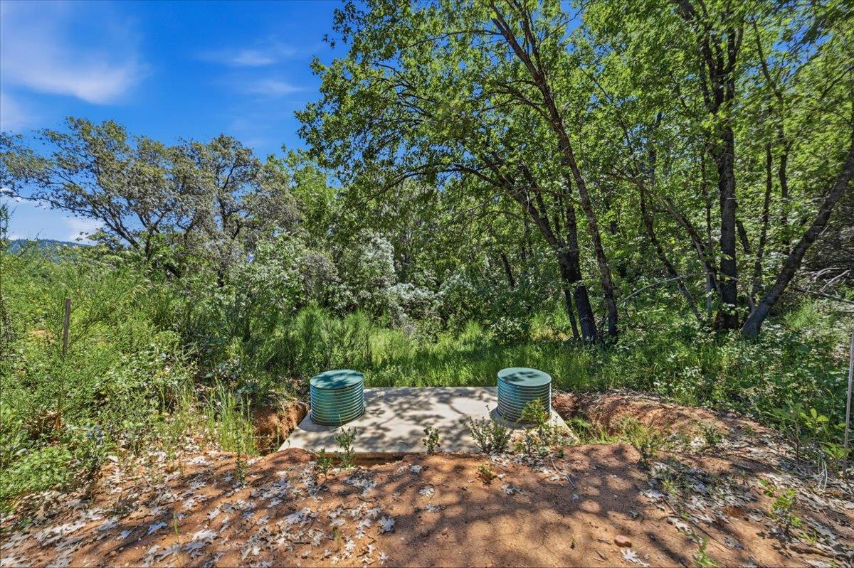 20154 Sky Ridge Place Nevada City, CA 95959 - Photo 16 of 20 a view of a trees with a tree