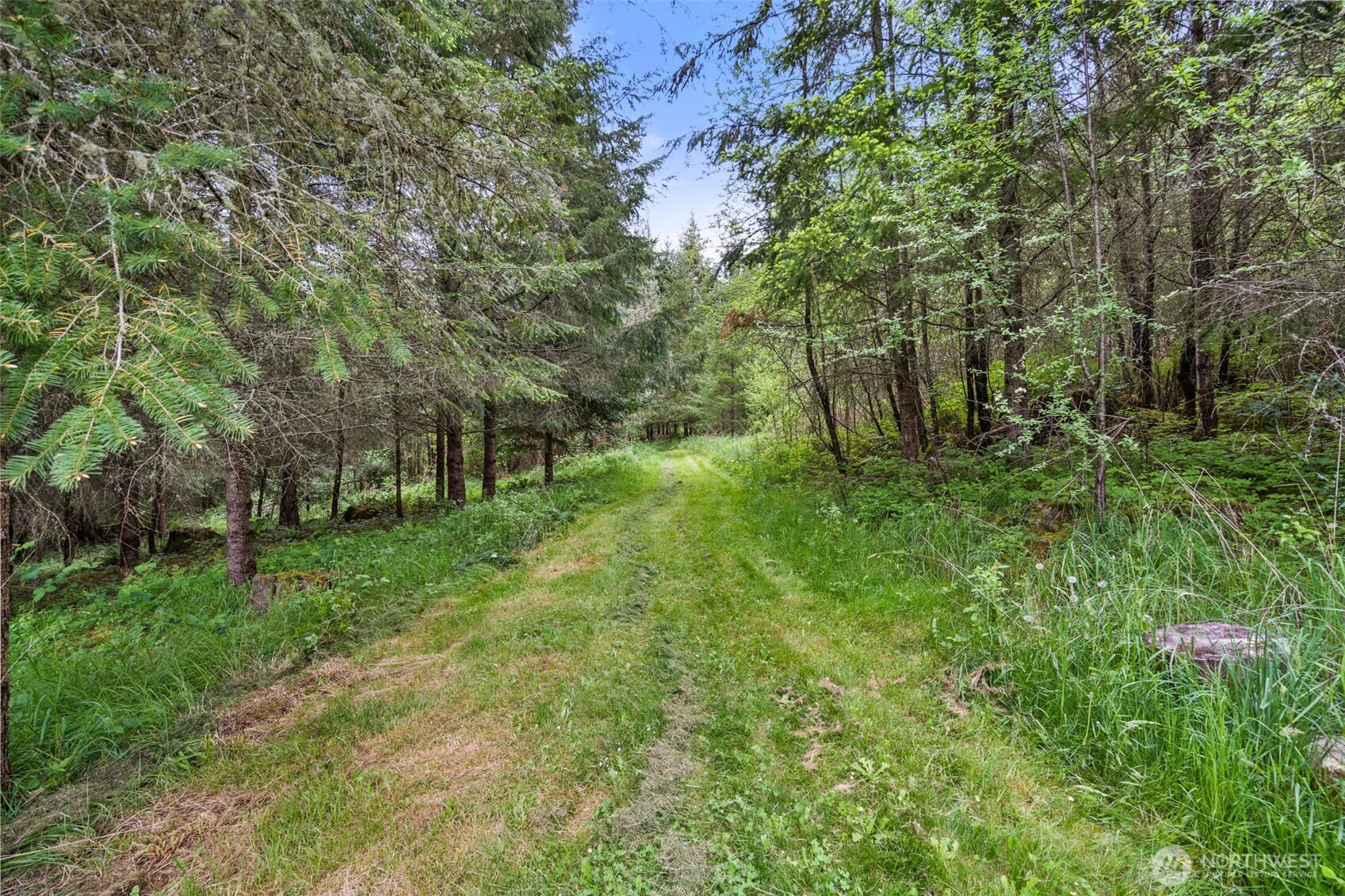 236 Chilvers Road Chehalis, WA 98532 - Photo 32 of 39