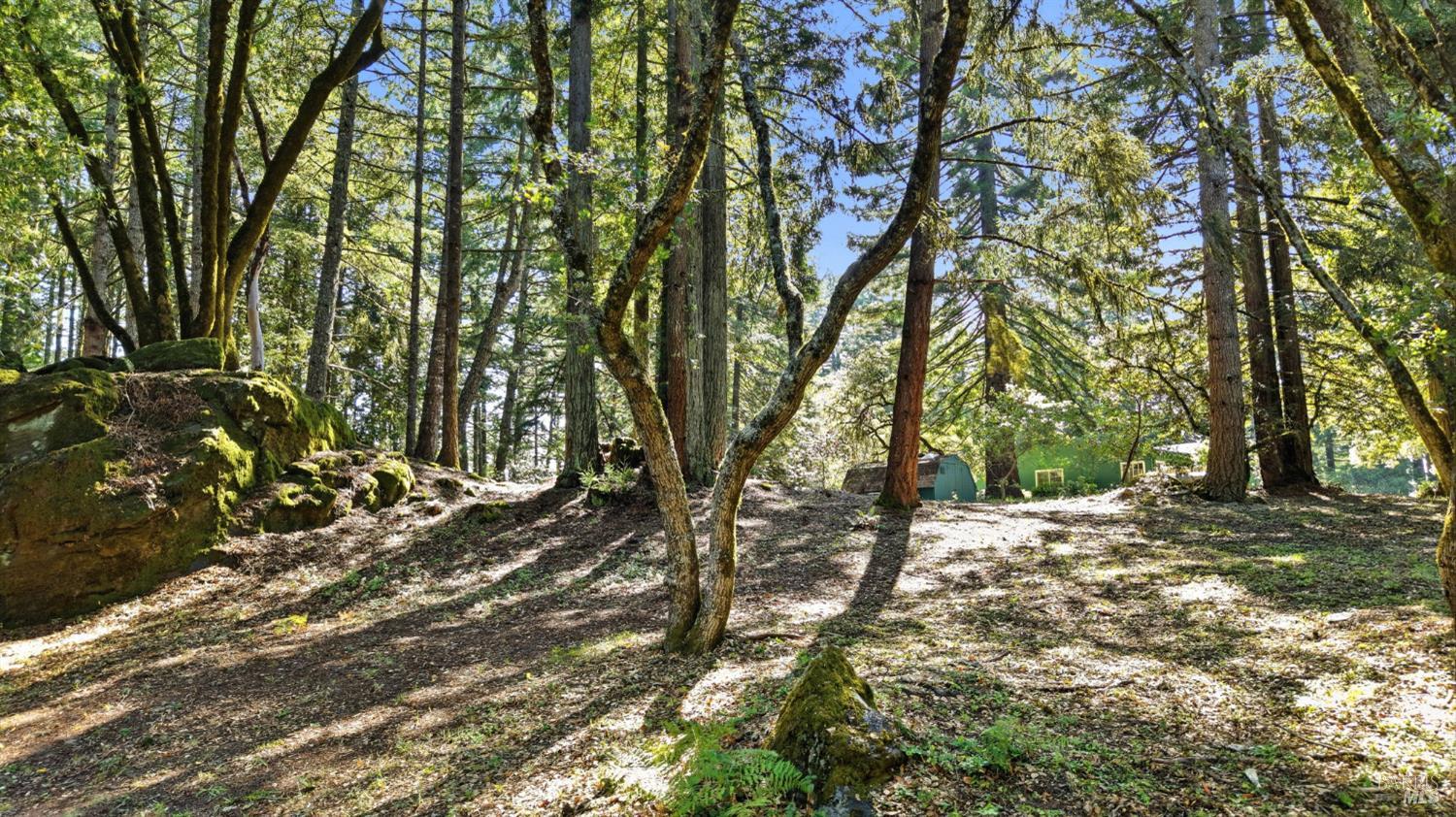 17375 Willow Creek Road Occidental, CA 95465 - Photo 82 of 94