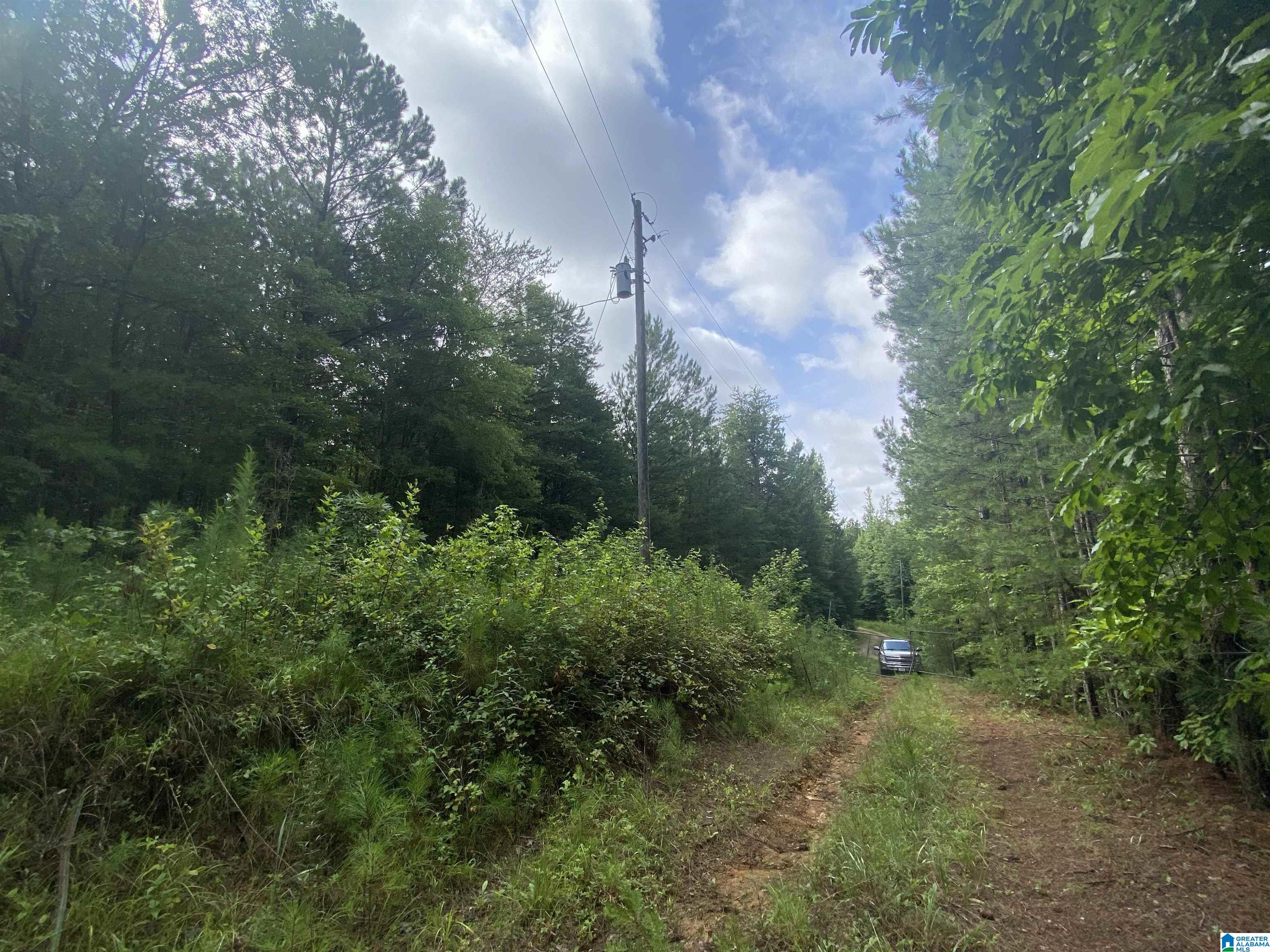 Bull Hollow Road, Unit 60 Odenville, AL 35120 - Photo 25 of 25