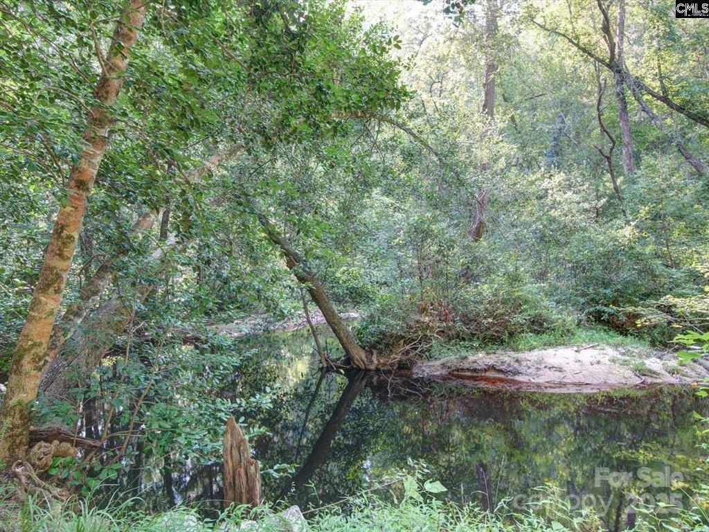 1239 John G Richards Road Camden, SC 29020 - Photo 3 of 30 a view of a lush green forest
