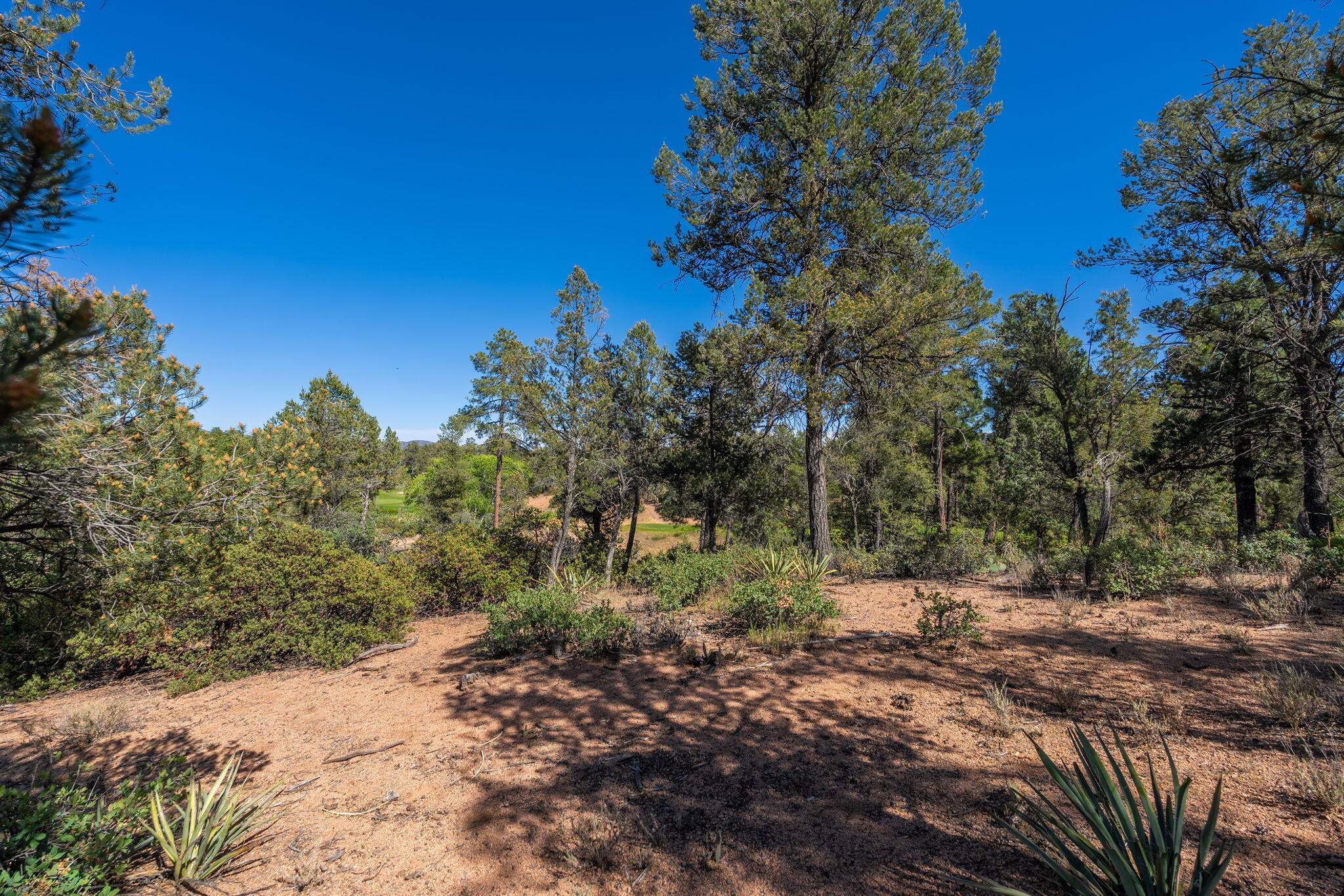 506 South Primeval Payson, AZ 85541 - Photo 30 of 48