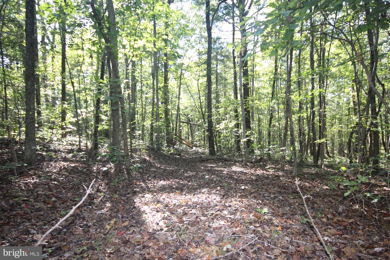 0 Reva Road Culpeper, VA 22701 - Photo 2 of 6 General