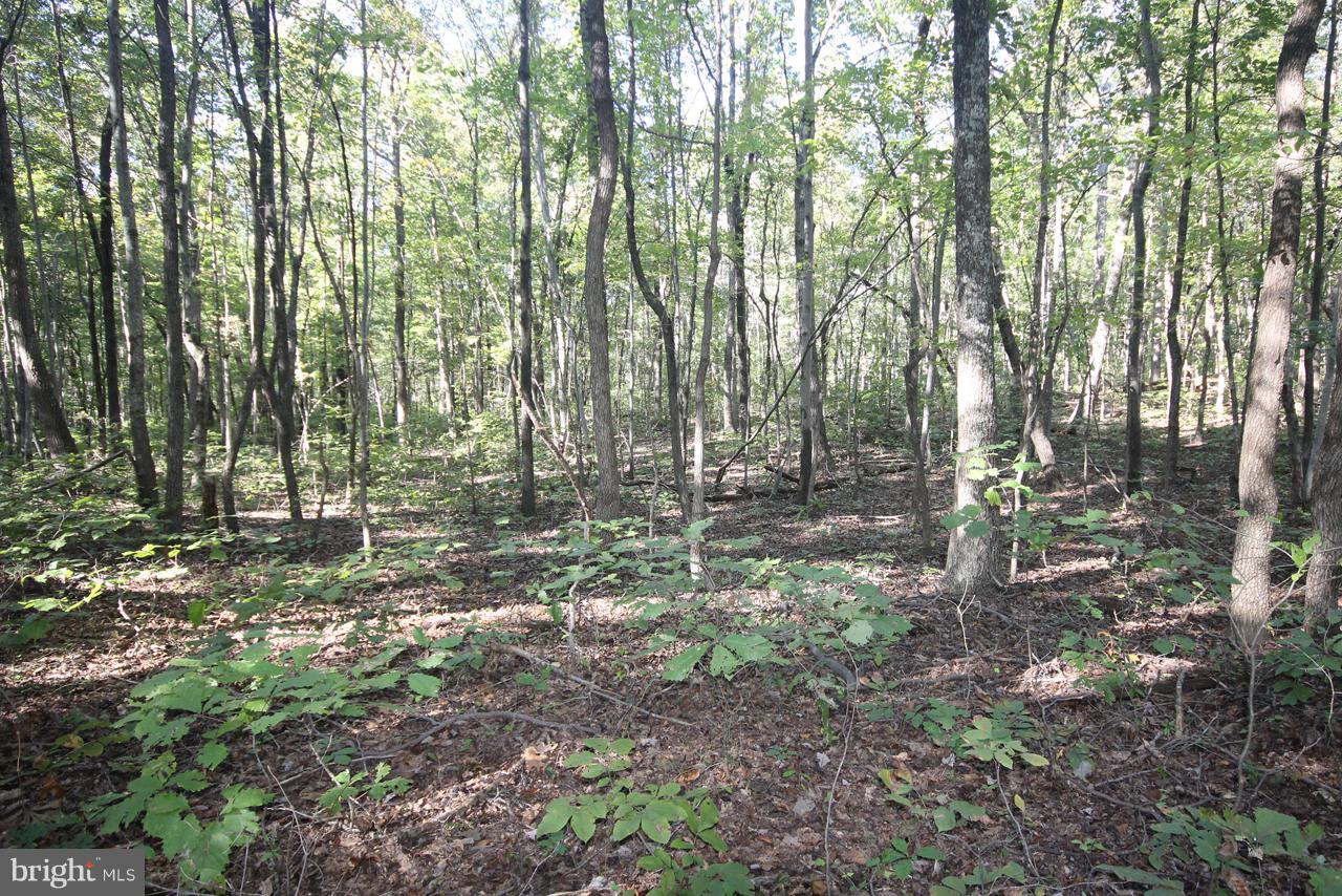 0 Reva Road Culpeper, VA 22701 - Photo 3 of 6 General