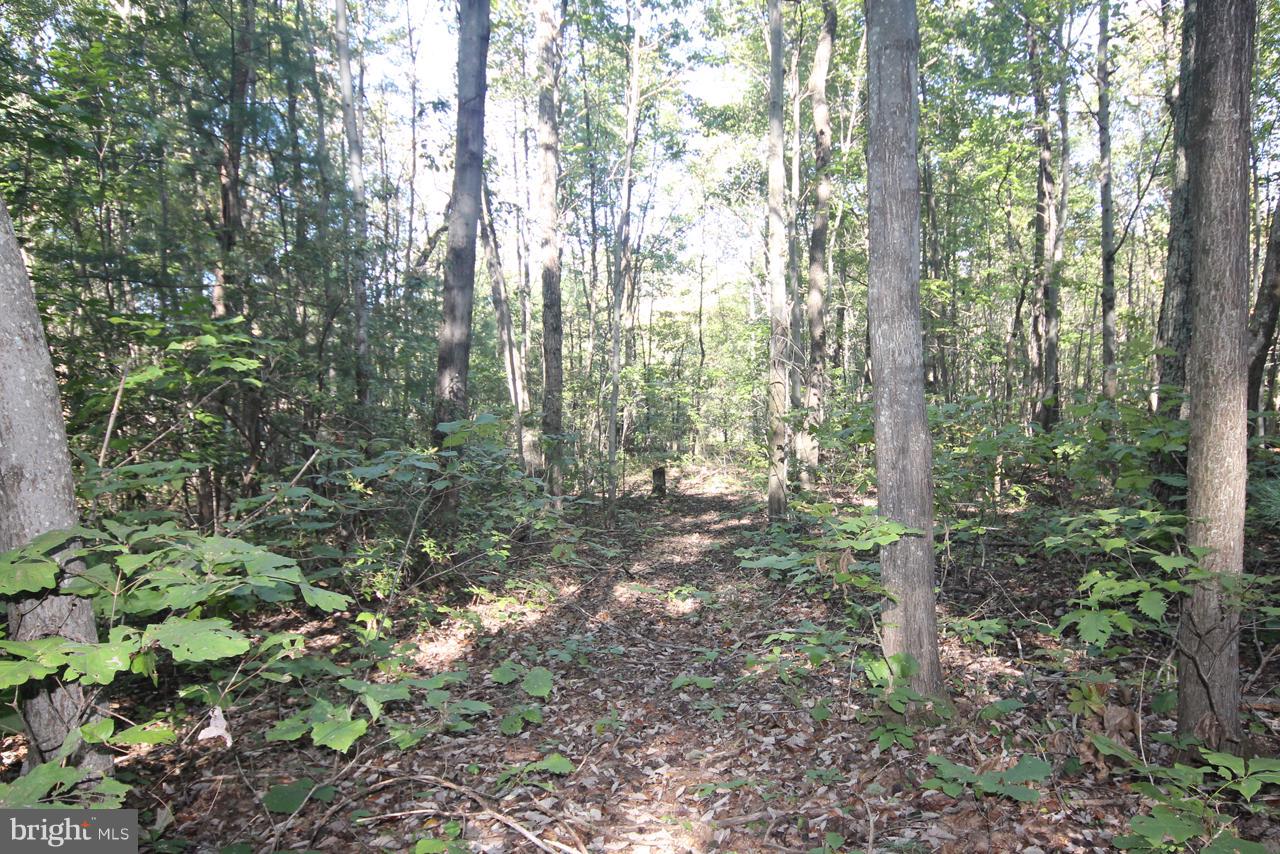 0 Reva Road Culpeper, VA 22701 - Photo 4 of 6 Easement