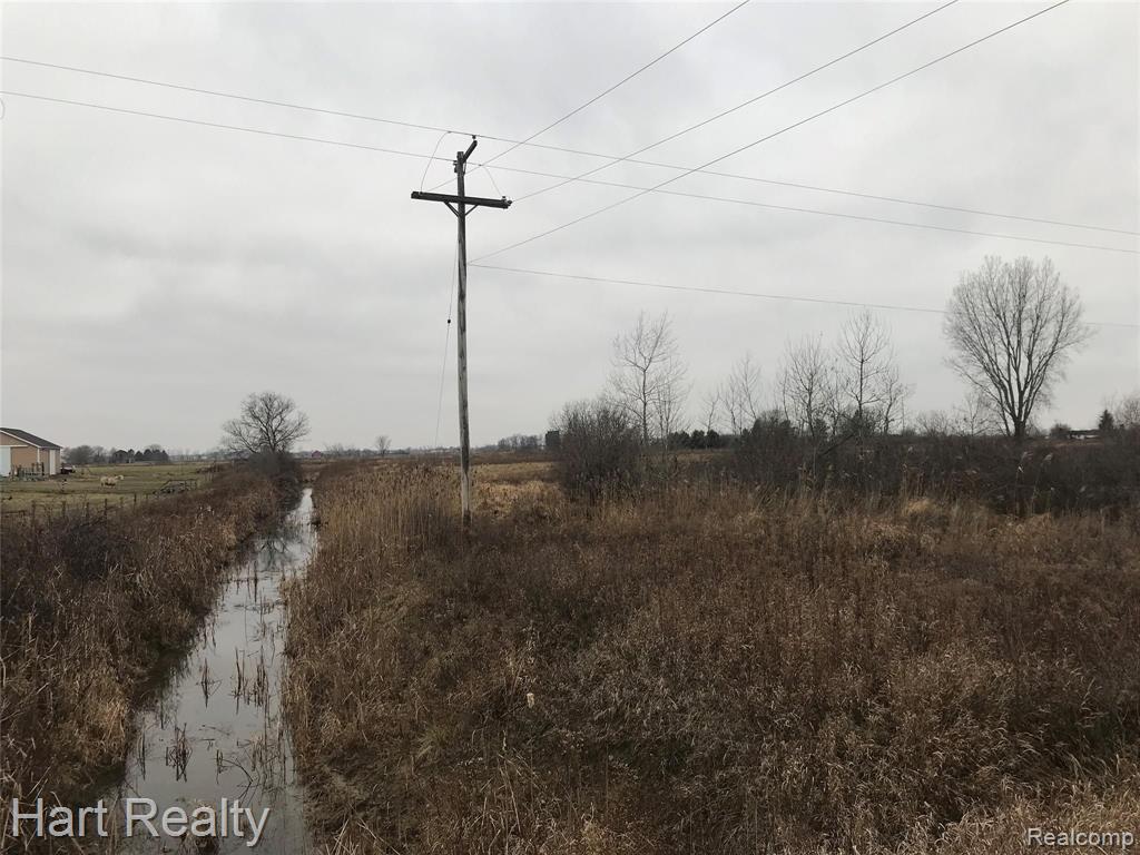 2265 Murray Road Brown City, MI 48416 - Photo 1 of 1