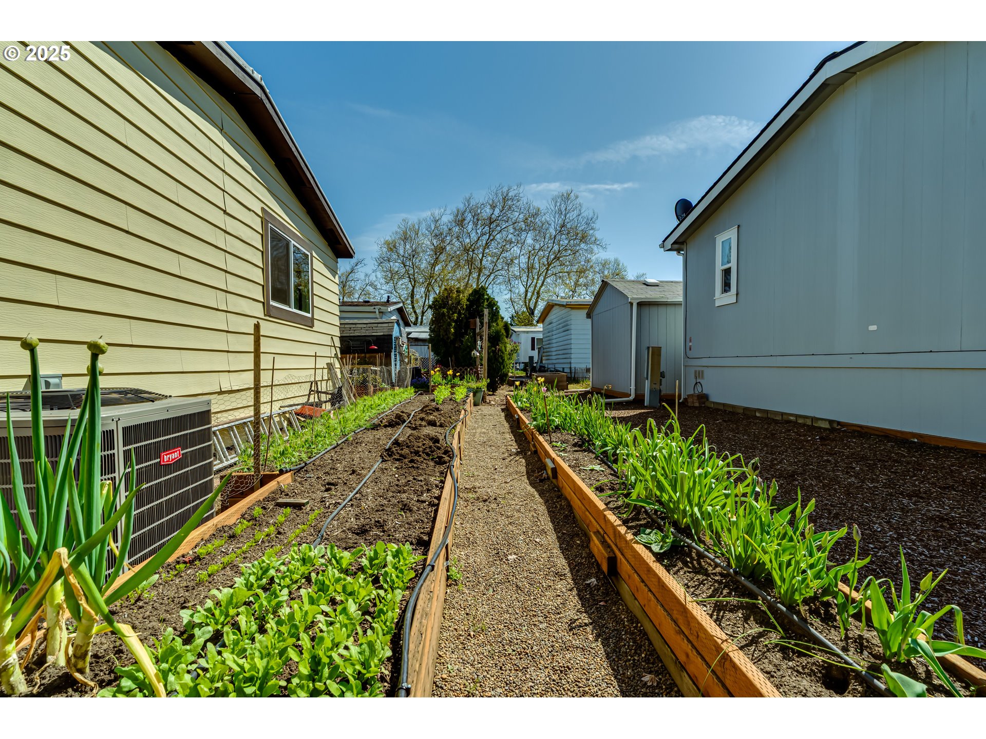1400 Candlelight Drive, Unit 177 Eugene, OR 97402 - Photo 30 of 32 a view of a backyard with pathway
