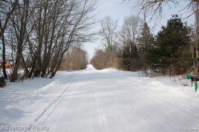 7679 Bryce Road Avoca, MI 48006 - Photo 4 of 19 IMG_2448
