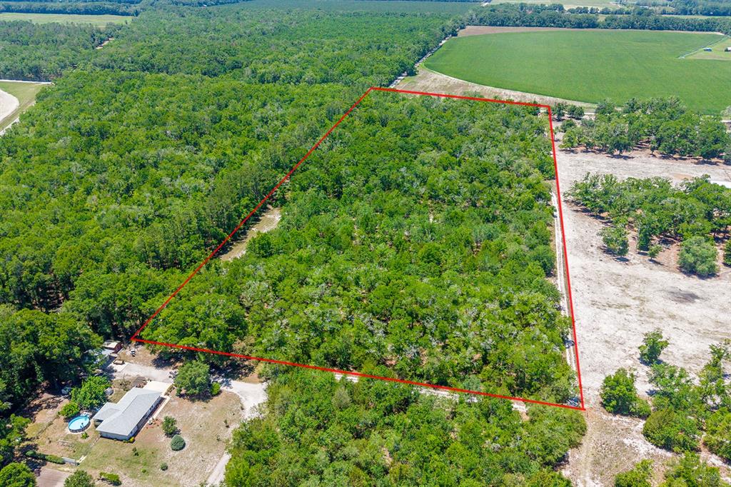 Tbd Northwest 40th Avenue Bell, FL 32619 - Photo 3 of 4