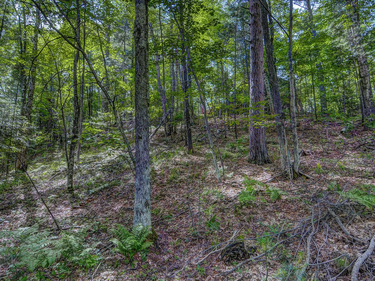 3665 Chain O Lakes Road Eagle River, WI 54521 - Photo 62 of 65 Gallery Image 62