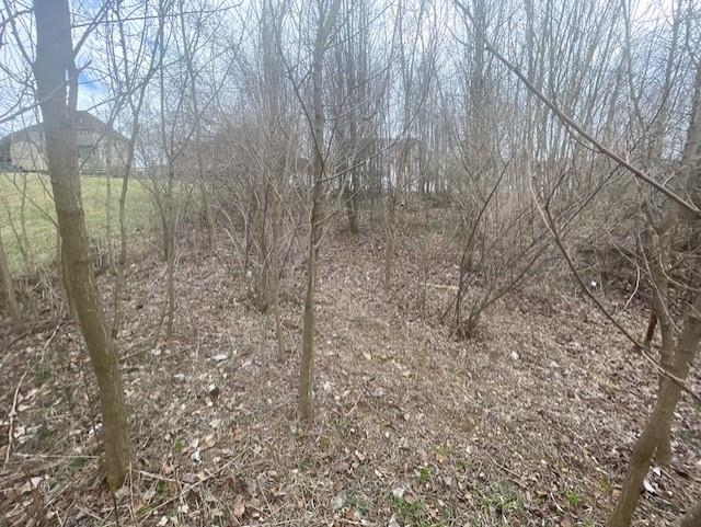 0 Long Meadow Road Fishersville, VA 22939 - Photo 1 of 12