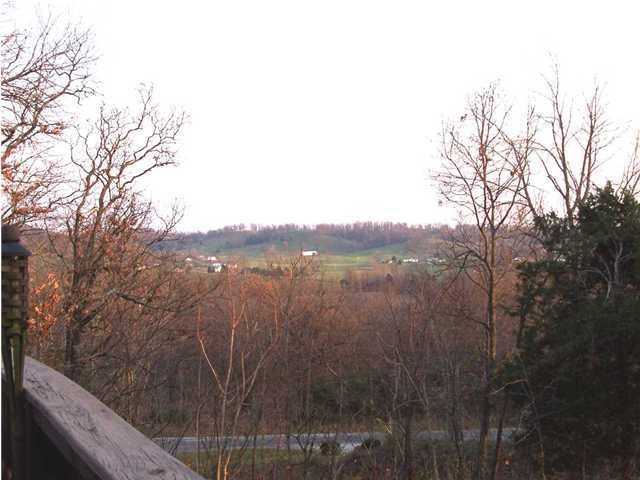 65 Forrest Hills Road Guston, KY 40142 - Photo 4 of 19 Additional Photo