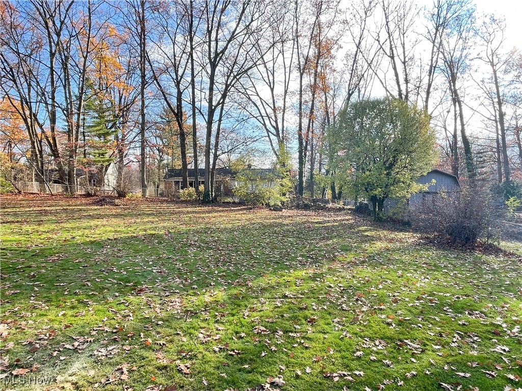 4949 East Radio Road Youngstown, OH 44515 - Photo 35 of 37 View of yard