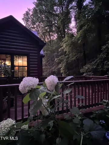 $525,000 | 103 Meadow Springs Court, Flag Pond, TN 37657