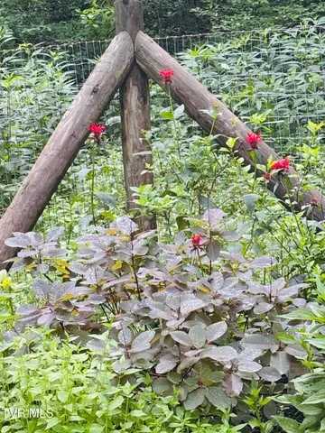 $525,000 | 103 Meadow Springs Court, Flag Pond, TN 37657