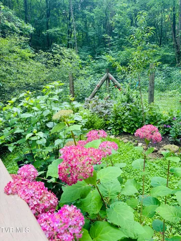 $525,000 | 103 Meadow Springs Court, Flag Pond, TN 37657