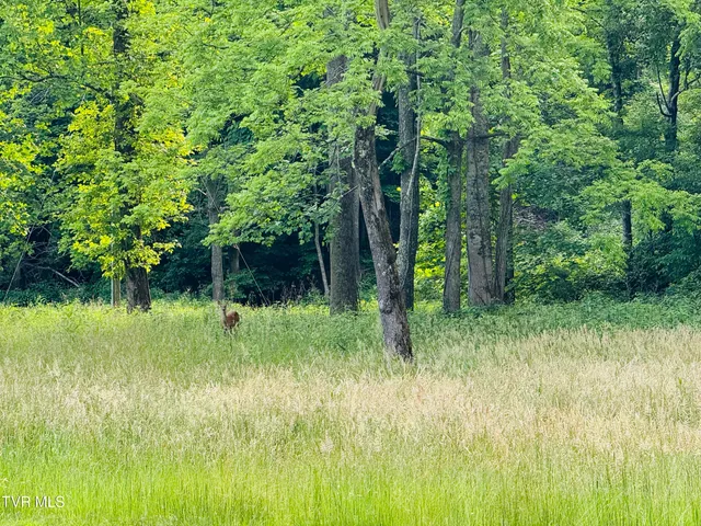 $525,000 | 103 Meadow Springs Court, Flag Pond, TN 37657