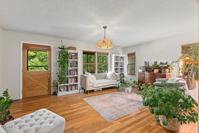 $525,000 | 103 Meadow Springs Court, Flag Pond, TN 37657