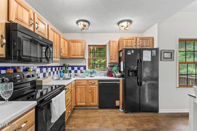 $525,000 | 103 Meadow Springs Court, Flag Pond, TN 37657