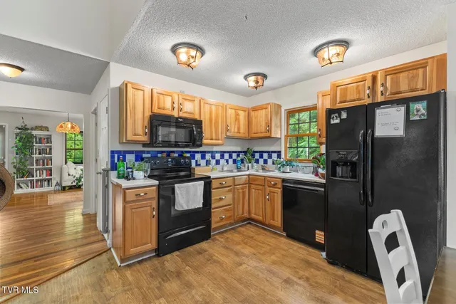 $525,000 | 103 Meadow Springs Court, Flag Pond, TN 37657