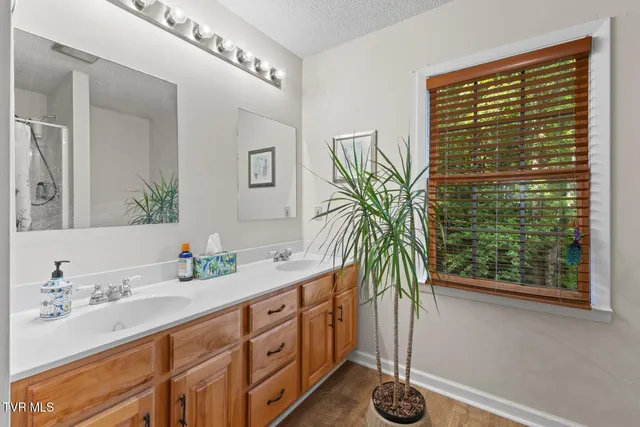 $525,000 | 103 Meadow Springs Court, Flag Pond, TN 37657