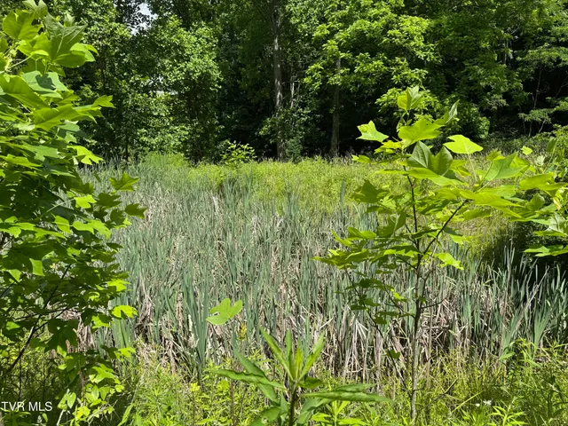 $525,000 | 103 Meadow Springs Court, Flag Pond, TN 37657