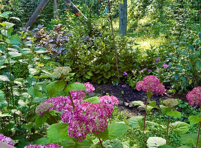 $525,000 | 103 Meadow Springs Court, Flag Pond, TN 37657