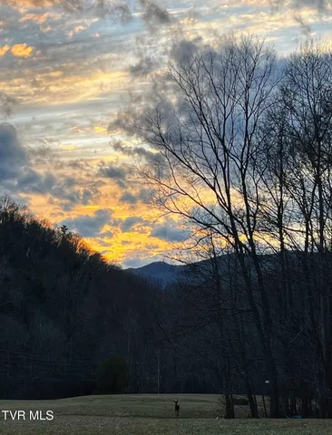 $525,000 | 103 Meadow Springs Court, Flag Pond, TN 37657