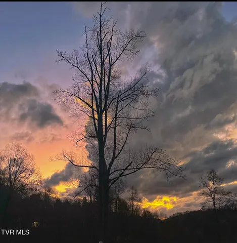 $525,000 | 103 Meadow Springs Court, Flag Pond, TN 37657