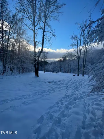 $525,000 | 103 Meadow Springs Court, Flag Pond, TN 37657