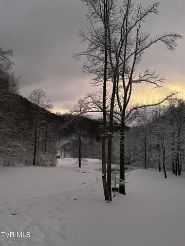 $525,000 | 103 Meadow Springs Court, Flag Pond, TN 37657