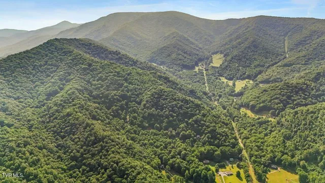 $525,000 | 103 Meadow Springs Court, Flag Pond, TN 37657