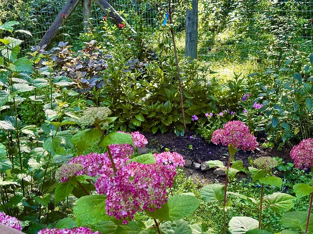 $525,000 | 103 Meadow Springs Court, Flag Pond, TN 37657