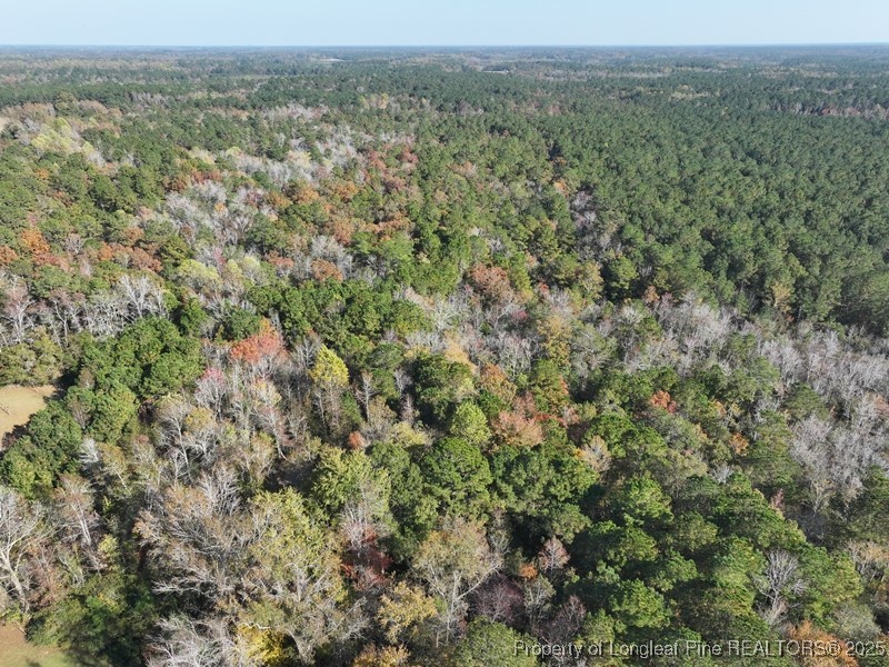 an aerial view of forest