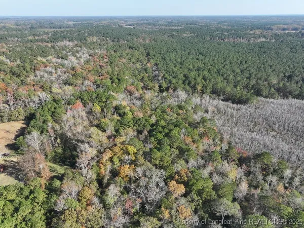 an aerial view of forest